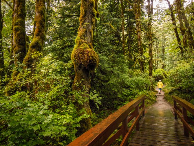 Exploring Around Chatterbox Falls