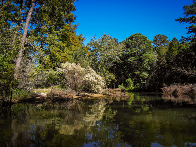 Fly Creek, Fairhope Alabama