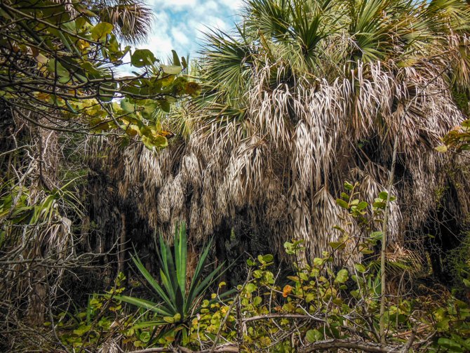 Egmont Key National Wildlife Refuge