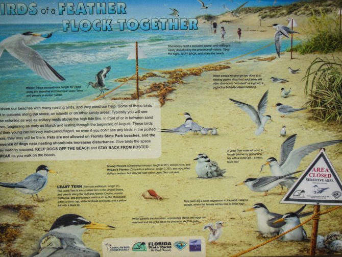 Cayo Costa State Park