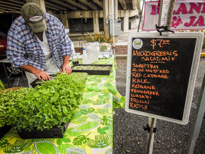 Farmer's Market, Fort Myers, Florida