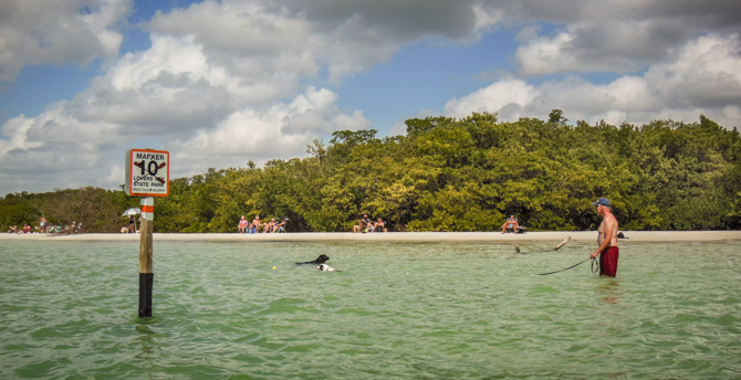 Beach, Lover's Key dog Park, Florida