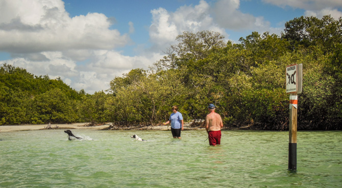 Beach, Lover's Key State Park, Florida