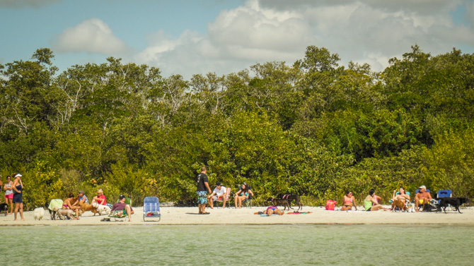 Beach, Lover's Key Dog Park, Florida