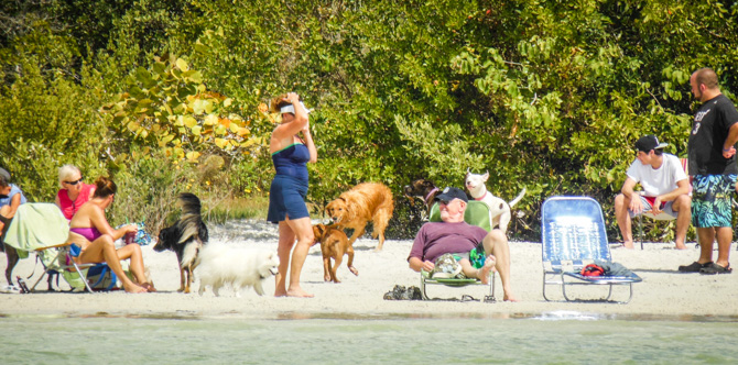 Beach, Lover's Key Dog Park, Florida