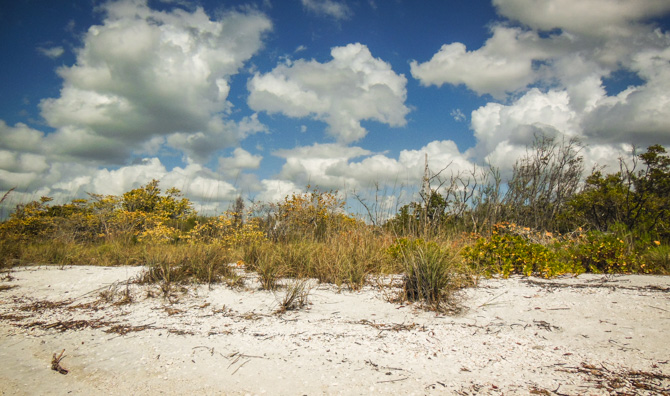 Beach, Lover's Key State Park, Florida