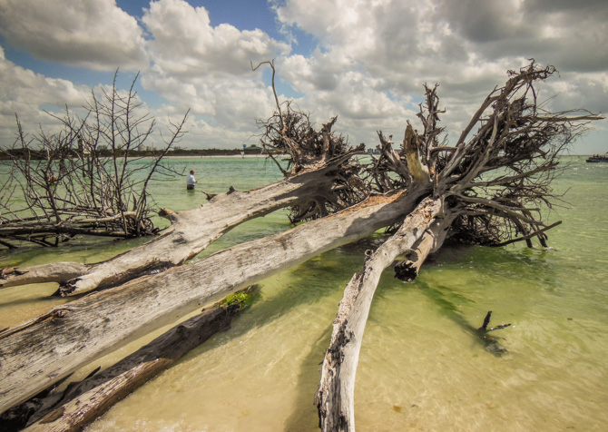 Beach, Lover's Key State Park, Florida