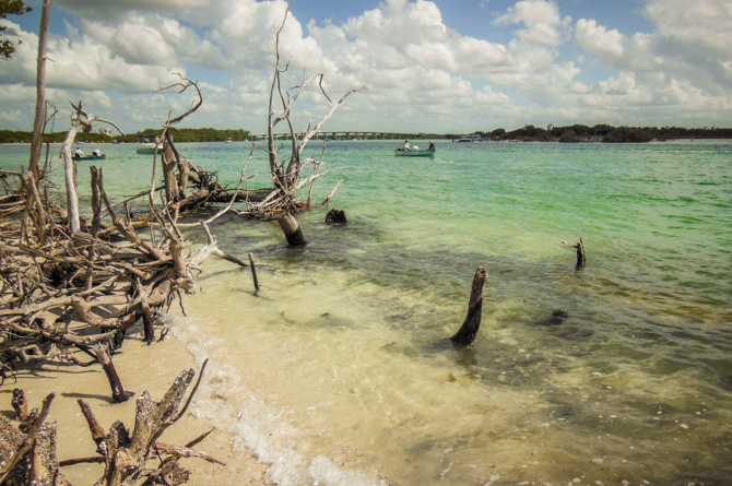 Beach, Lover's Key State Park, Florida