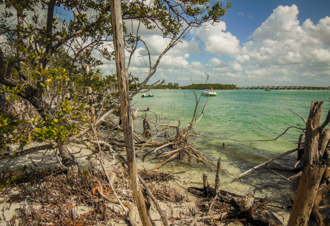 Beach, Lover's Key State Park, Florida