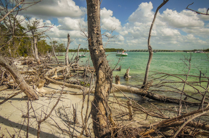 Beach, Lover's Key State Park, Florida