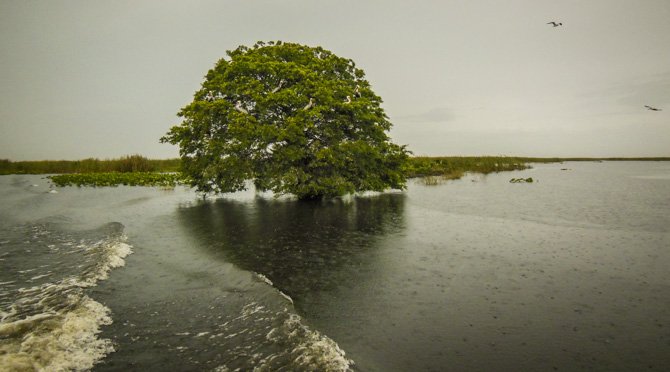 Kismet on Rim Route, Lake Okechobee