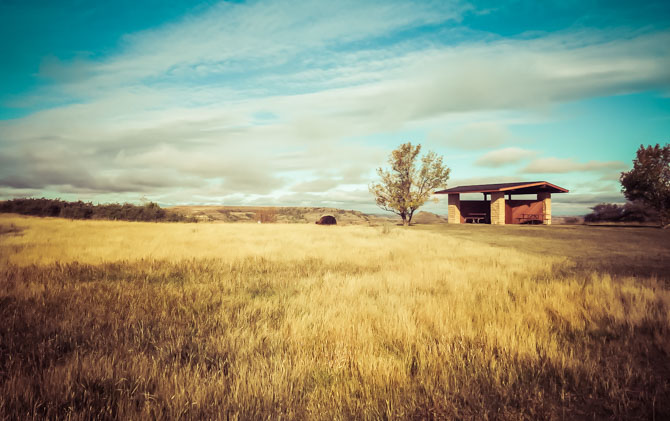 Teddy Rosevelt Nat Park-19