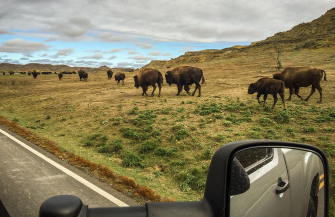 Teddy Rosevelt Nat Park-34