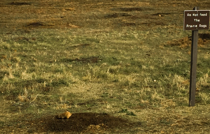 Teddy Rosevelt Nat Park-40